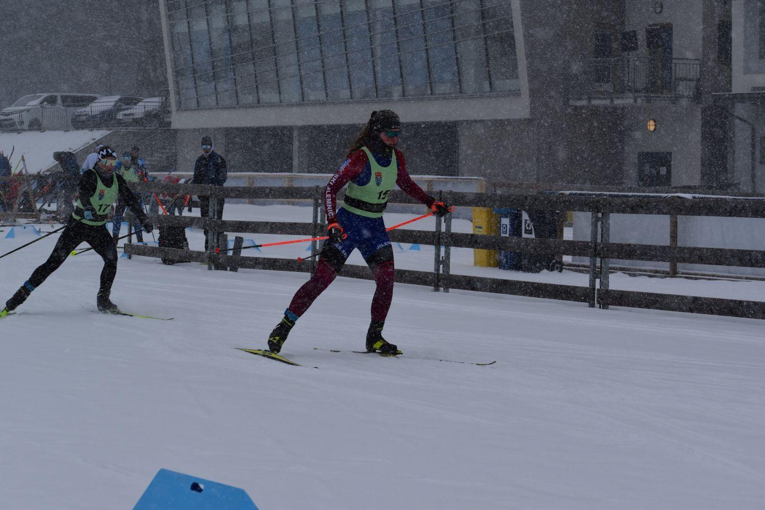 ◳ DSC_0601 (jpg) → (originál)